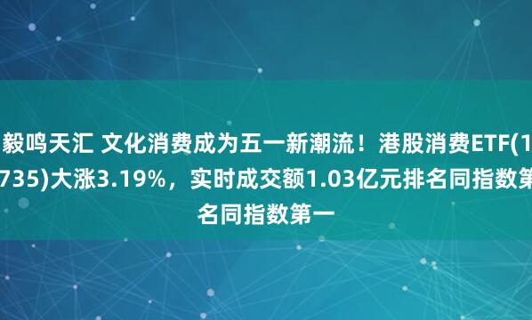 毅鸣天汇 文化消费成为五一新潮流！港股消费ETF(159735)大涨3.19%，实时成交额1.03亿元排名同指数第一