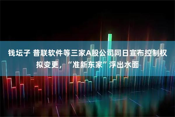 钱坛子 普联软件等三家A股公司同日宣布控制权拟变更，“准新东家”浮出水面